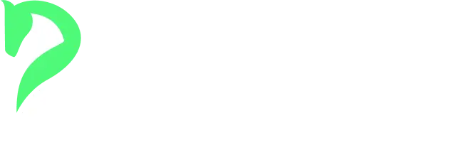 Piprider